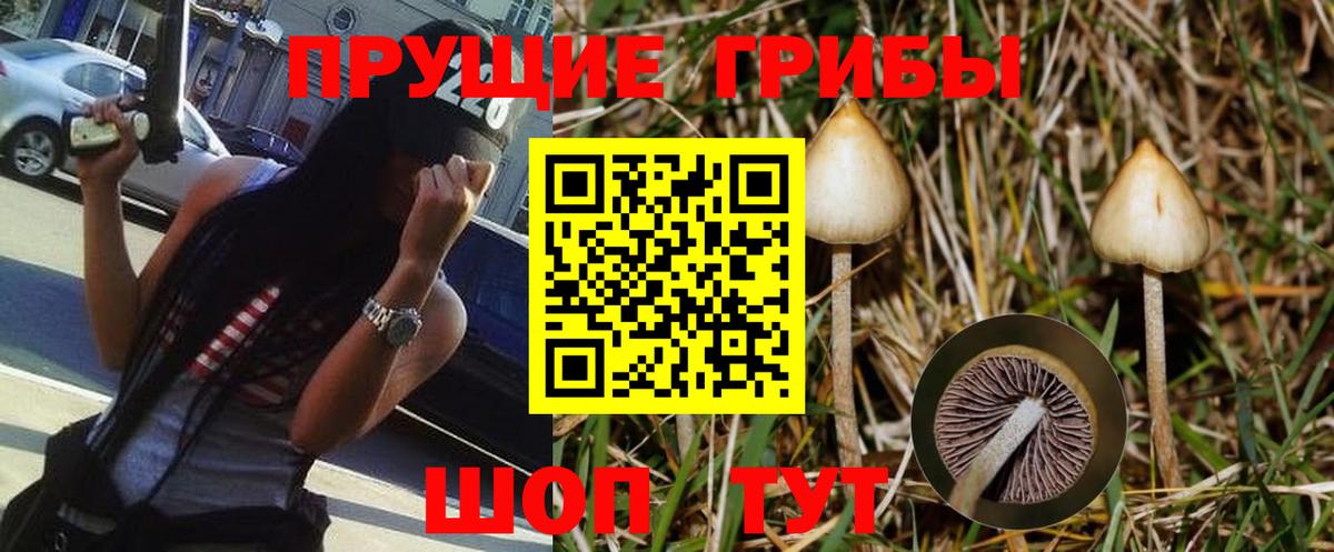 Галлюциногенные грибы мицелий  купить  сайты  Ликино-Дулёво  Вход с VPN 